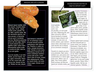 INSERIR IMAGEM DENTRO DE
OBJETOS IMPORT+SHIFT
IMAGENS VÃO ATÉ A SANGRA
 