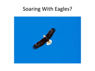Soaring With Eagles?
 