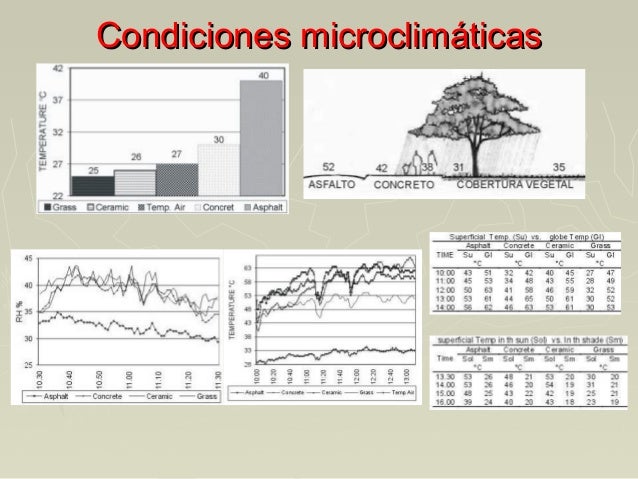 Resultado de imagen para condiciones microclimaticas