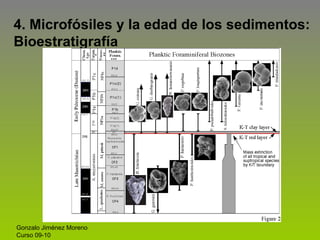 4. Microfósiles y la edad de los sedimentos:
Bioestratigrafía
Gonzalo Jiménez Moreno
Curso 09-10
 