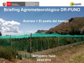 Briefing Agrometeorológico DR-PUNO
Bernardino Tapia
08/04/2016
Arariwa = El poeta del tiempo
 