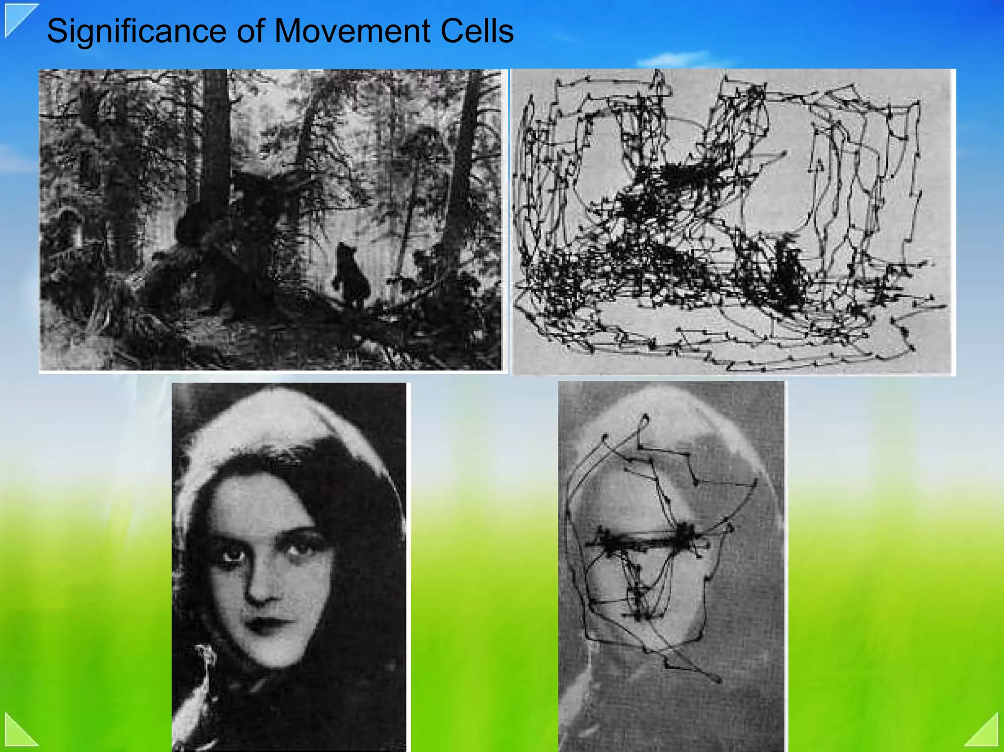 Significance of Movement Cells
 