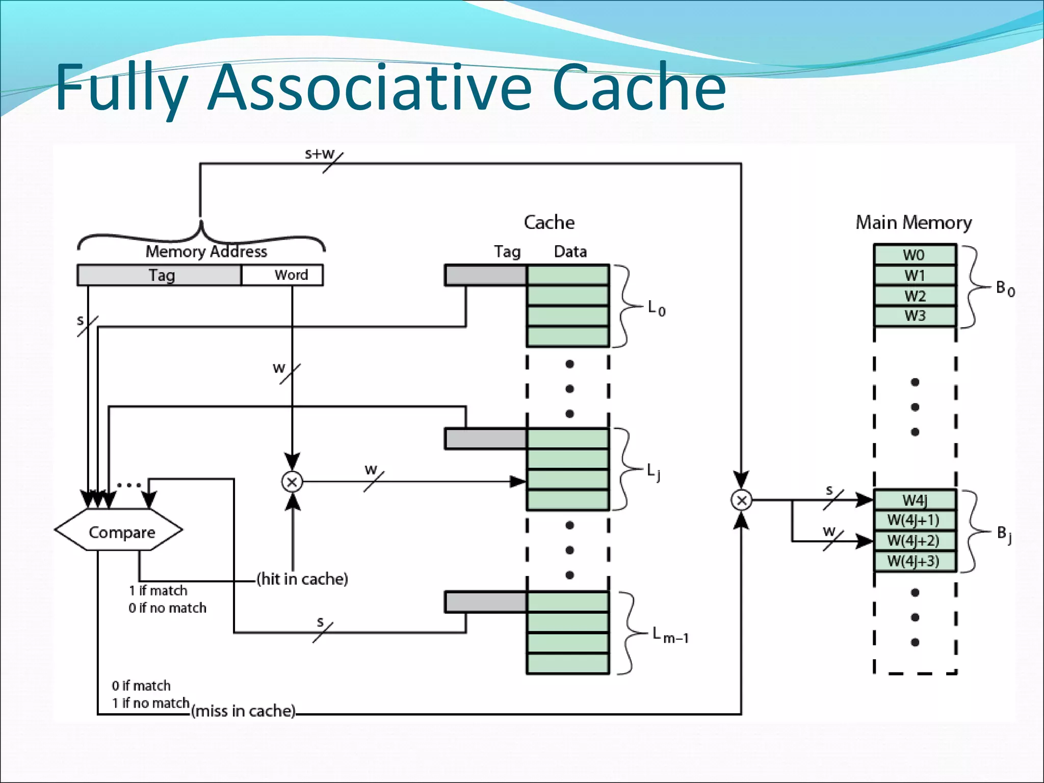 Fully Associative Cache
Organization

 