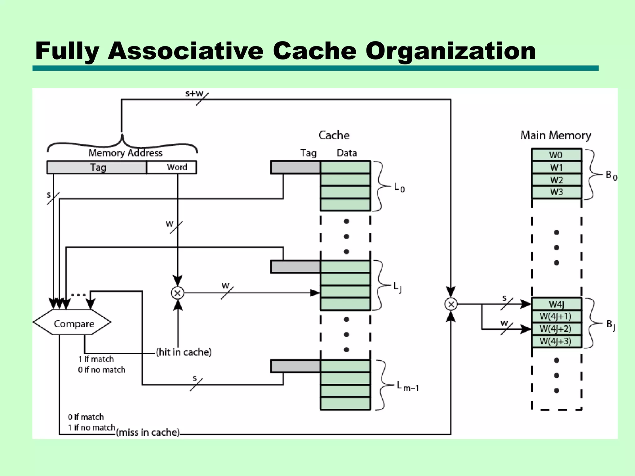 Fully Associative Cache Organization
 