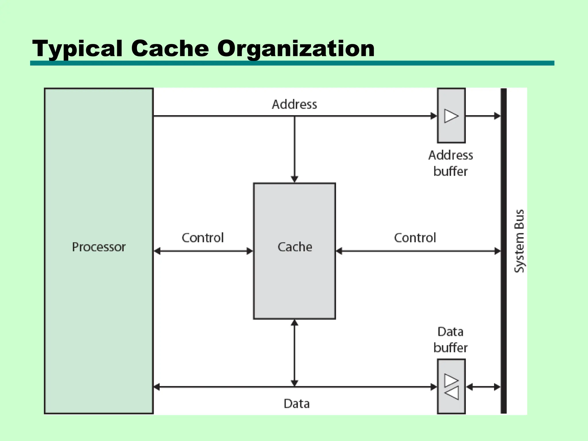 Typical Cache Organization
 