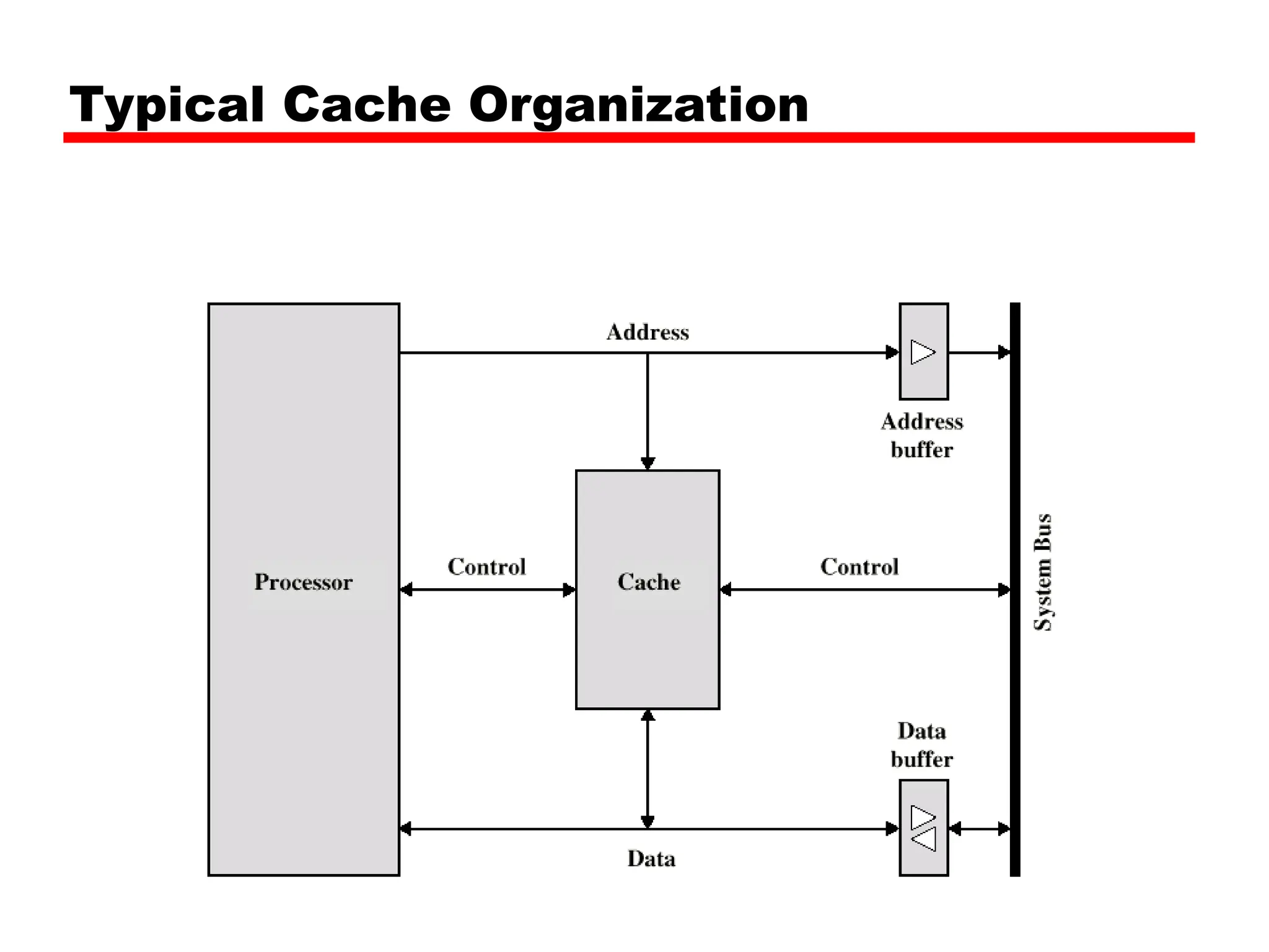 Typical Cache Organization
 