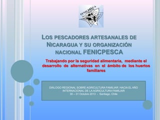 LOS PESCADORES ARTESANALES DE
NICARAGUA Y SU ORGANIZACIÓN
NACIONAL FENICPESCA
Trabajando por la seguridad alimentaria, mediante el
desarrollo de alternativas en el ámbito de los huertos
familiares

DIÁLOGO REGIONAL SOBRE AGRICULTURA FAMILIAR: HACIA EL AÑO
INTERNACIONAL DE LA AGRICULTURA FAMILIAR
30 – 31 Octubre 2013 - Santiago, Chile

 