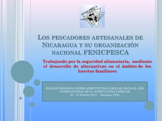 LOS PESCADORES ARTESANALES DE
NICARAGUA Y SU ORGANIZACIÓN
NACIONAL FENICPESCA
Trabajando por la seguridad alimentaria, mediante
el desarrollo de alternativas en el ámbito de los
huertos familiares
DIÁLOGO REGIONAL SOBRE AGRICULTURA FAMILIAR: HACIA EL AÑO
INTERNACIONAL DE LA AGRICULTURA FAMILIAR
30 – 31 Octubre 2013 - Santiago, Chile
 