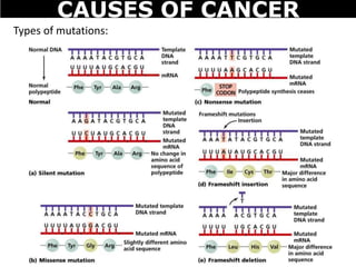 Types of mutations:
CAUSES OF CANCER
 