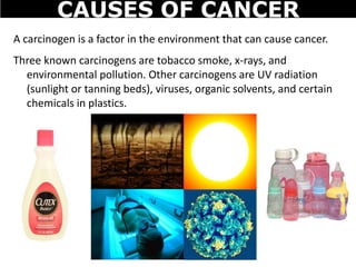 A carcinogen is a factor in the environment that can cause cancer.
Three known carcinogens are tobacco smoke, x-rays, and
environmental pollution. Other carcinogens are UV radiation
(sunlight or tanning beds), viruses, organic solvents, and certain
chemicals in plastics.
CAUSES OF CANCER
 