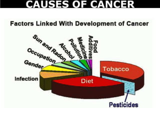 CAUSES OF CANCER
 