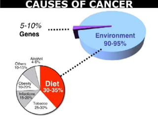 CAUSES OF CANCER
 
