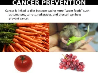 Cancer is linked to diet because eating more “super foods” such
as tomatoes, carrots, red grapes, and broccoli can help
prevent cancer.
CANCER PREVENTION
 
