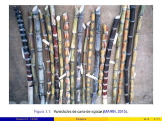 Figura 1.1: Variedades de cana-de-açúcar (MARIN, 2015).
Clauber D.R. (UEMS) Transporte fev15 5 / 17
 