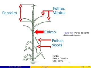 Figura 1.2: Partes da planta
de cana-de-açúcar.
Clauber D.R. (UEMS) Transporte fev15 6 / 17
 