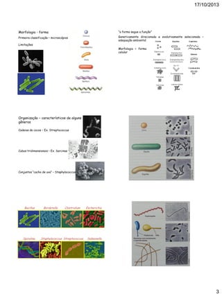 17/10/2013

Morfologia - forma

“a forma segue a função”

Primeira classificação – microscópios

Geneticamente direcionada e evolutivamente selecionada –
adequação ambiental

Limitações

Morfologia = forma
celular

Organização – característicos de alguns
gêneros
Cadeias de cocos – Ex. Streptococcus

Cubos tridimensionais – Ex. Sarcinas

Conjuntos “cacho de uva” – Staphylococcus

Bacillus

Spirulina

Bordetella

Clostridium

Staphylococcus Streptococcus

Escherichia

Salmonella

3

 