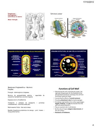 17/10/2013

Estrutura celular

Dinophyceae –
dinoflagelados –
autotróficos na maioria
Menor limitação

Membrana Citoplasmática – Bacteria
Funções

Functions of Cell Wall

Proteção – delimitação do citoplasma
Barreira de permeabilidade seletiva –
concentrar metabólitos e excretar dejetos

capacidade

de

Expessura de 6 a 8 nanômetros
Transporte e sistemas de transporte
transmembrana – hidrofobicidade (G1)

–

proteínas

Relativamente fluida – óleo muito denso
Reações bioquímicas produtoras de energia – prot. transm. –
força próton motiva

• Maintaining the cell's characteristic shape- the
rigid wall compensates for the flexibility of the
phospholipid membrane and keeps the cell from
assuming a spherical shape
• Countering the effects of osmotic pressure
• Providing attachment sites for bacteriophages
• Providing a rigid platform for surface appendagesflagella, fimbriae, and pili all emanate from the
wall and extend beyond it
• Play an essential role in cell division
• Be the sites of major antigenic determinants of
the cell surface。
• Resistance of Antibiotics

4

 