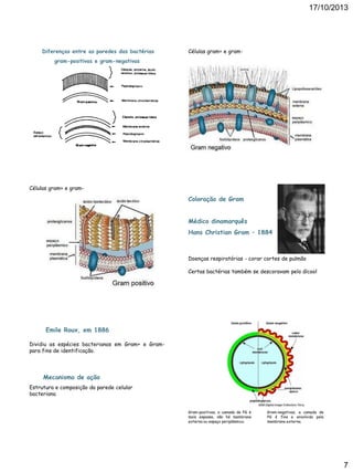 17/10/2013

Diferenças entre as paredes das bactérias

Células gram+ e gram-

gram-positivas e gram-negativas

Células gram+ e gram-

Coloração de Gram
Médico dinamarquês
Hans Christian Gram – 1884

Doenças respiratórias - corar cortes de pulmão
Certas bactérias também se descoravam pelo álcool

Emile Roux, em 1886
Dividiu as espécies bacterianas em Gram+ e Grampara fins de identificação.

Mecanismo de ação
Estrutura e composição da parede celular
bacteriana
Gram-positivas, a camada de PG é
mais espessa, não há membrana
externa ou espaço periplásmico.

Gram-negativas, a camada de
PG é fina e envolvida pela
membrana externa.

7

 
