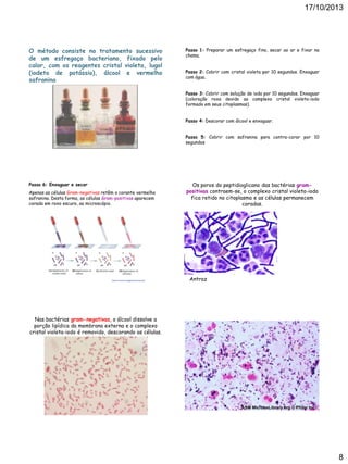 17/10/2013

O método consiste no tratamento sucessivo
de um esfregaço bacteriano, fixado pelo
calor, com os reagentes cristal violeta, lugol
(iodeto de potássio), álcool e vermelho
safranina

Passo 1: Preparar um esfregaço fino, secar ao ar e fixar na
chama.
Passo 2: Cobrir com cristal violeta por 10 segundos. Enxaguar
com água.
Passo 3: Cobrir com solução de iodo por 10 segundos. Enxaguar
(coloração roxa devido ao complexo cristal violeta-iodo
formado em seus citoplasmas).
Passo 4: Descorar com álcool e enxaguar.
Passo 5: Cobrir com safranina para contra-corar por 10
segundos

Passo 6: Enxaguar e secar
Apenas as células Gram-negativas retêm o corante vermelho
safranina. Desta forma, as células Gram-positivas aparecem
corada em roxo escuro, ao microscópio.

Os poros do peptidioglicano das bactérias grampositivas contraem-se, o complexo cristal violeta-iodo
fica retido no citoplasma e as células permanecem
coradas.

Antraz

Nas bactérias gram-negativas, o álcool dissolve a
porção lipídica da membrana externa e o complexo
cristal violeta-iodo é removido, descorando as células.

8

 