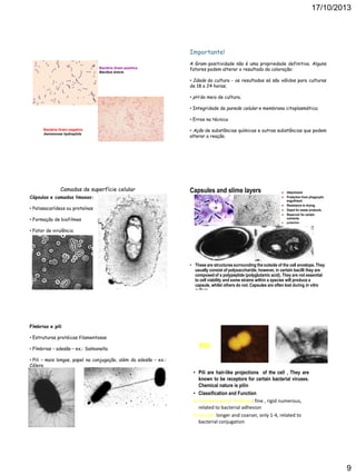 17/10/2013

Importante!
Bactéria Gram-positiva
Bacillus brevis

A Gram-positividade não é uma propriedade definitiva. Alguns
fatores podem alterar o resultado da coloração:
• Idade da cultura - os resultados só são válidos para culturas
de 18 a 24 horas;
• pH do meio de cultura;
• Integridade da parede celular e membrana citoplasmática;
• Erros na técnica

Bactéria Gram-negativa
Aeromonas hydrophila

Camadas de superfície celular
Cápsulas e camadas limosas:

• Ação de substâncias químicas e outras substâncias que podem
alterar a reação.

Capsules and slime layers





• Polissacarídeos ou proteínas




• Formação de biofilmes



Attachment
Protection from phagocytic
engulfment.
Resistance to drying.
Depot for waste products.
Reservoir for certain
nutrients.
protection

• Fator de virulência

• These are structures surrounding the outside of the cell envelope. They
usually consist of polysaccharide; however, in certain bacilli they are
composed of a polypeptide (polyglutamic acid). They are not essential
to cell viability and some strains within a species will produce a
capsule, whilst others do not. Capsules are often lost during in vitro
culture.

Fímbrias e pili
• Estruturas protéicas filamentosas
• Fímbrias – adesão – ex.: Salmonella

Pili

• Pili – mais longas, papel na conjugação, além da adesão – ex.:
Cólera

• Pili are hair-like projections of the cell , They are
known to be receptors for certain bacterial viruses.
Chemical nature is pilin
• Classification and Function
a. Common pili or fimbriae: fine , rigid numerous,
related to bacterial adhesion
b. Sex pili: longer and coarser, only 1-4, related to
bacterial conjugation

9

 