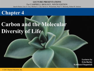 LECTURE PRESENTATIONS
                                    For CAMPBELL BIOLOGY, NINTH EDITION
                Jane B. Reece, Lisa A. Urry, Michael L. Cain, Steven A. Wasserman, Peter V. Minorsky, Robert B. Jackson



Chapter 4

Carbon and the Molecular
Diversity of Life



                                                                                                                    Lectures by
                                                                                                                    Erin Barley
                                                                                                            Kathleen Fitzpatrick

© 2011 Pearson Education, Inc.
 
