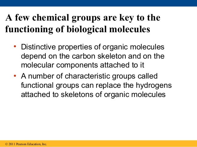 04 carbon and the molecular diversity of life carbon chains form skeletons
