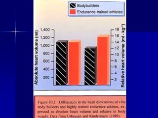 3) Heart Rate (HR) - decrease of HR after endurance
tr. (elite athletes 30 - 40 beats (min.) - increase
in parasympathetic...