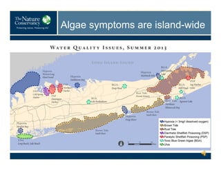 Algae symptoms are island-wide

 