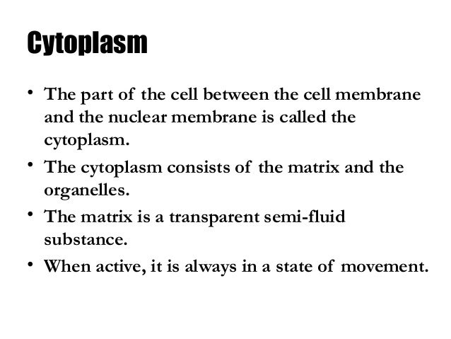 Cellular Organizations | Class 8 | Science