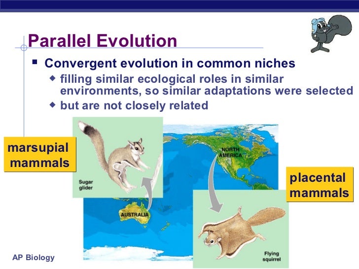 04 ch22evolutionevidence2009