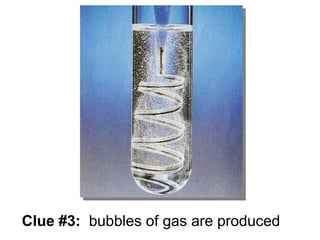 Clue #3: bubbles of gas are produced