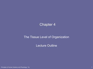 Principles of Human Anatomy and Physiology, 11e 1
Chapter 4
The Tissue Level of Organization
Lecture Outline
 