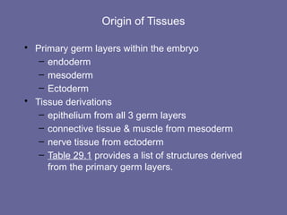 04 [chapter 4 the tissue level of organization][11e] | PPT