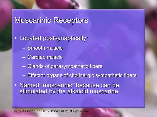 nursereview-org-cholinergic-blockers-updates-pharmacology-summaries