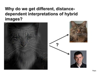 Why do we get different, distance-
dependent interpretations of hybrid
images?
?
Hays
 