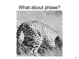 What about phase?
Efros
 