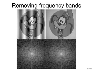 Removing frequency bands
Brayer
 