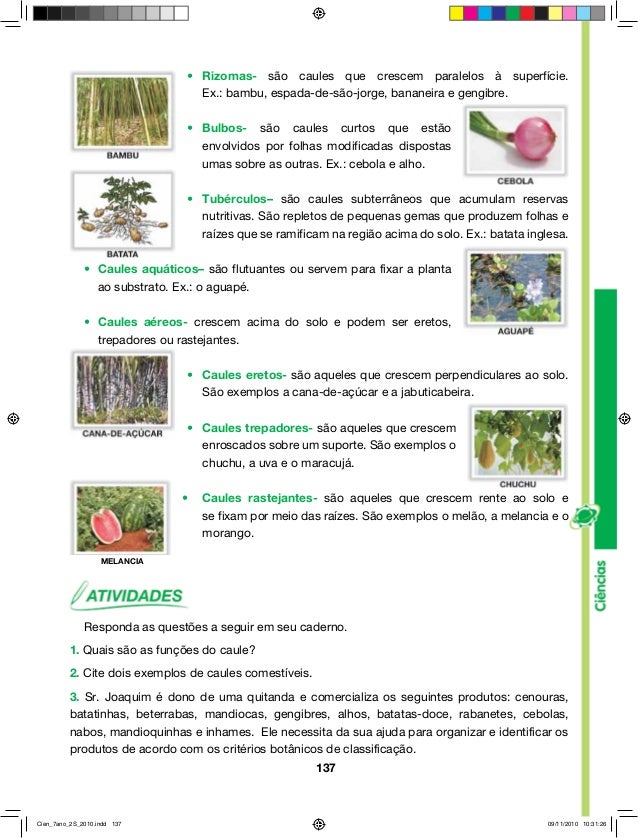 Diferencie Répteis Ovíparos E Ovovivíparos E Dê Exemplos