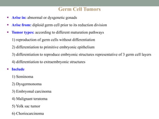 Germ Cell Tumors
 Arise in: abnormal or dysgenetic gonads
 Arise from: diploid germ cell prior to its reduction division
 Tumor types: according to different maturation pathways
1) reproduction of germ cells without differentiation
2) differentiation to primitive embryonic epithelium
3) differentiation to reproduce embryonic structures representative of 3 germ cell layers
4) differentiation to extraembryonic structures
 Include
1) Seminoma
2) Dysgermonoma
3) Embryonal carcinoma
4) Malignant teratoma
5) Yolk sac tumor
6) Choriocarcinoma
 
