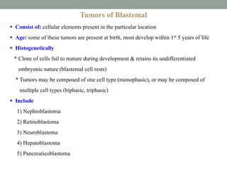 Tumors of Blastemal
 Consist of: cellular elements present in the particular location
 Age: some of these tumors are present at birth, most develop within 1st 5 years of life
 Histogenetically
* Clone of cells fail to mature during development & retains its undifferentiated
embryonic nature (blastemal cell rests)
* Tumors may be composed of one cell type (monophasic), or may be composed of
multiple cell types (biphasic, triphasic)
 Include
1) Nephroblastoma
2) Retinoblastoma
3) Neuroblastoma
4) Hepatoblastoma
5) Pancreaticoblastoma
 