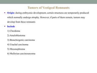 Tumors of Vestigeal Remnants
 Origin: during embryonic development, certain structures are temporarily produced
which normally undergo atrophy. However, if parts of them remain, tumors may
develop from these remnants
 Include
1) Chordoma
2) Ameloblastoma
3) Branchiogenic carcinoma
4) Urachal carcinoma
5) Mesonephroma
6) Mullerian carcinosarcoma
 