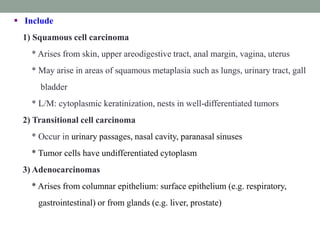  Include
1) Squamous cell carcinoma
* Arises from skin, upper areodigestive tract, anal margin, vagina, uterus
* May arise in areas of squamous metaplasia such as lungs, urinary tract, gall
bladder
* L/M: cytoplasmic keratinization, nests in well-differentiated tumors
2) Transitional cell carcinoma
* Occur in urinary passages, nasal cavity, paranasal sinuses
* Tumor cells have undifferentiated cytoplasm
3) Adenocarcinomas
* Arises from columnar epithelium: surface epithelium (e.g. respiratory,
gastrointestinal) or from glands (e.g. liver, prostate)
 