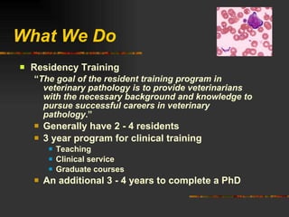 What We Do Residency Training “ The goal of the resident training program in veterinary pathology is to provide veterinarians with the necessary background and knowledge to pursue successful careers in veterinary pathology .” Generally have 2 - 4 residents 3 year program for clinical training Teaching Clinical service Graduate courses An additional 3 - 4 years to complete a PhD 