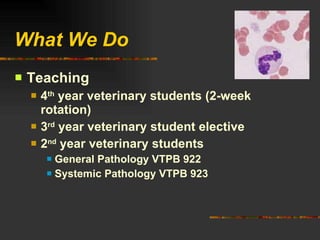 What We Do Teaching 4 th  year veterinary students (2-week rotation) 3 rd  year veterinary student elective 2 nd  year veterinary students General Pathology VTPB 922 Systemic Pathology VTPB 923 