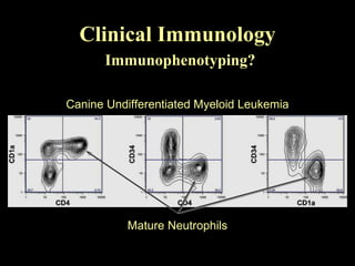 Clinical Immunology   Immunophenotyping? Canine Undifferentiated Myeloid Leukemia Mature Neutrophils 