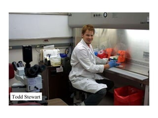 Todd Stewart 
