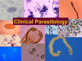 Clinical Parasitology 