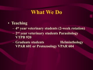 What We Do Teaching 4 th  year veterinary students (2-week rotation) 2 nd  year veterinary students Parasitology VTPB 920 Graduate students  Helminthology VPAR 601 or Protozoology VPAR 604 