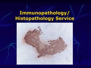 Immunopathology/ Histopathology Service 