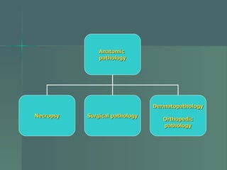 Anatomic  pathology Necropsy Surgical pathology Dermatopathology Orthopedic pathology 